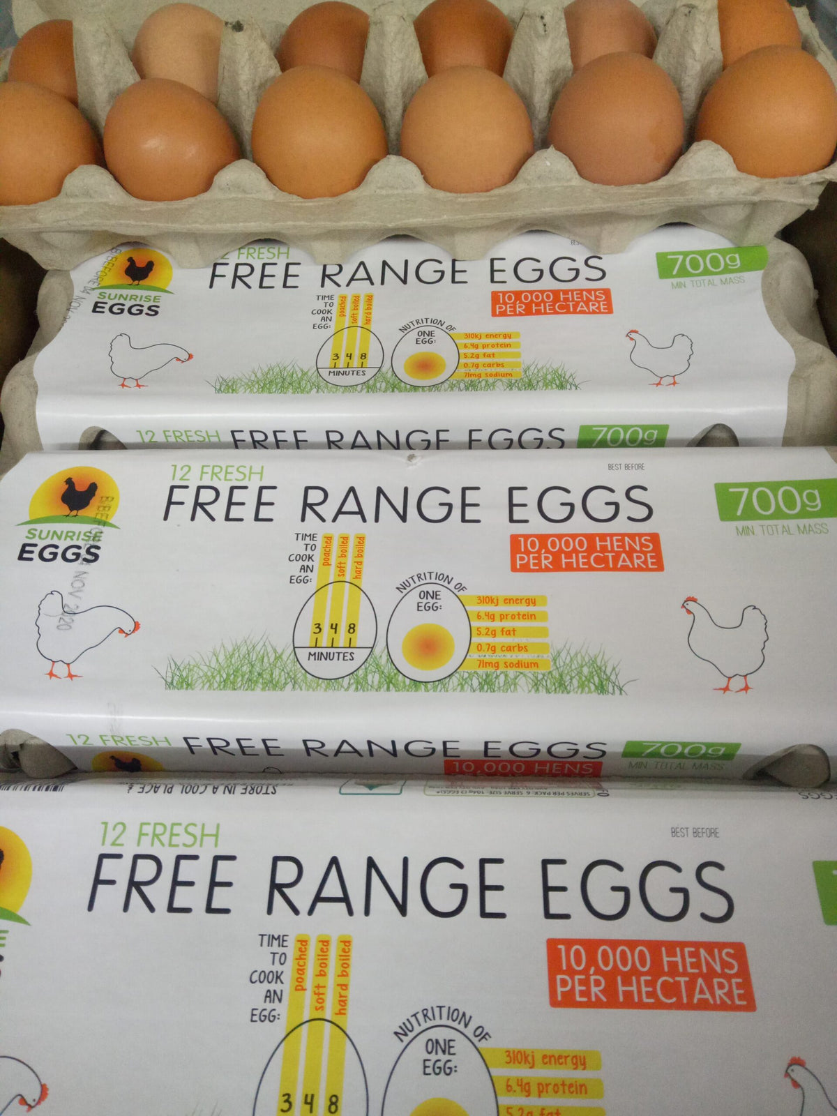 Fresh Free Range Eggs 1 dozen- large