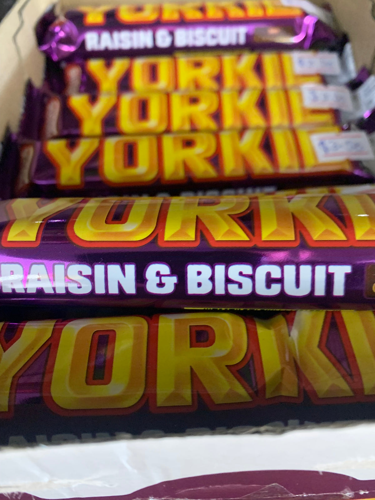 yorkie - Raisin & biscuit